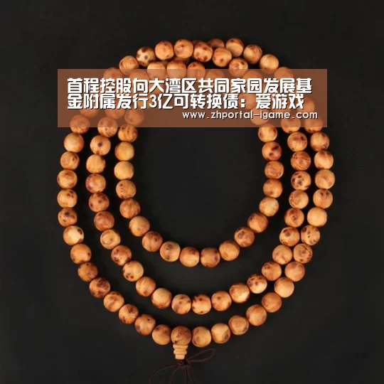 首程控股向大湾区共同家园发展基金附属发行3亿可转换债:爱游戏(图2) 爱游戏